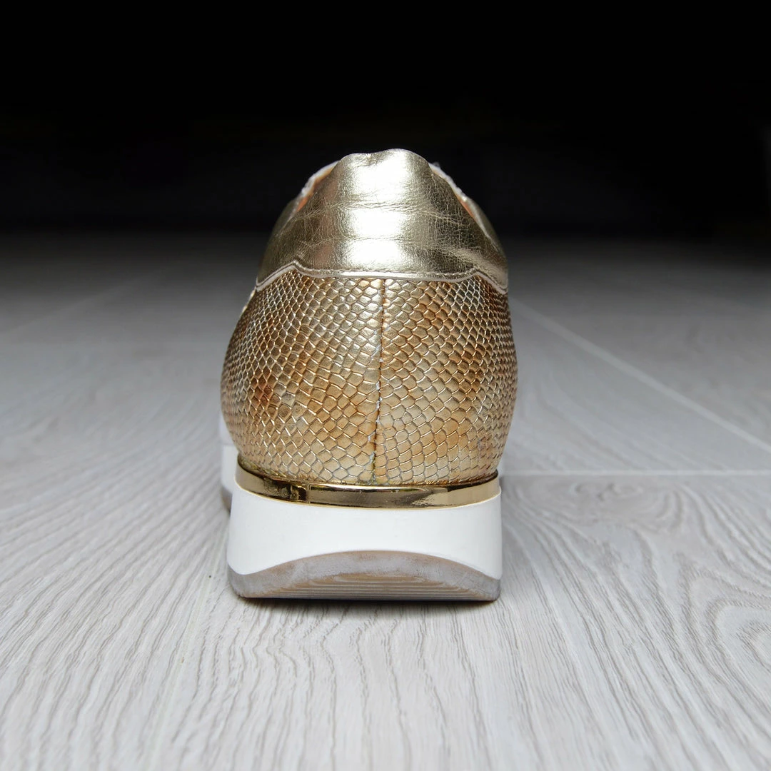 Kickfootwear Giatoma Niccoli Contrast Shine Trainers - White - Gold WOMENS 5 Kickfootwear Giatoma Niccoli Contrast Shine Trainers - White - Gold WOMENS